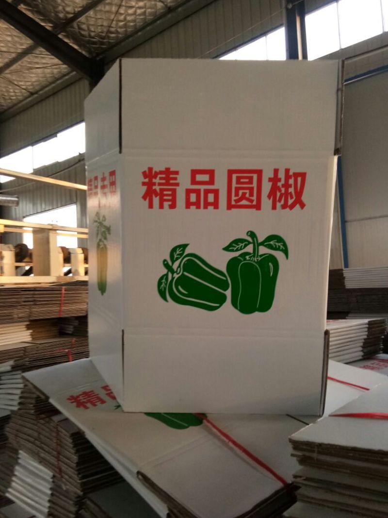 纸箱2号（530*230*290）