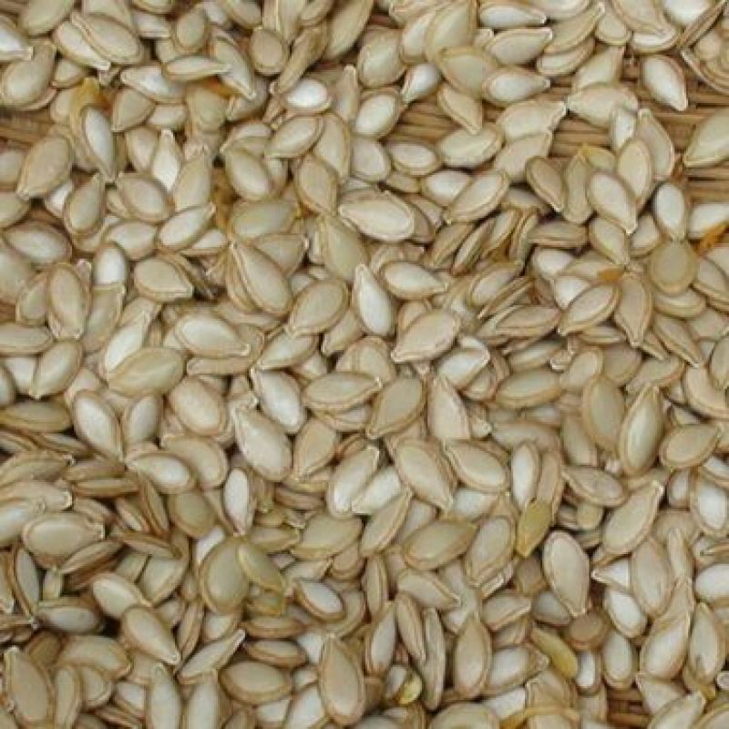 南瓜子中药材用河北干货量大从优