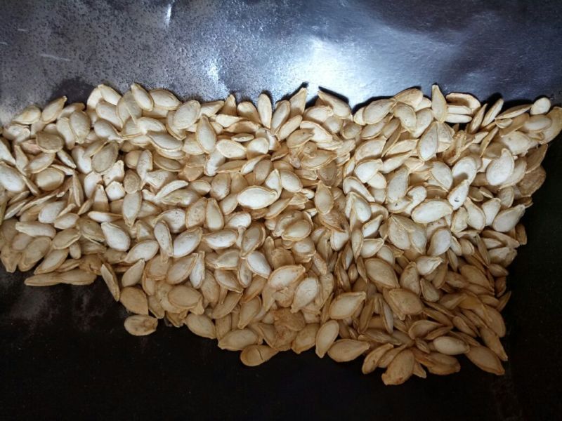 南瓜子中药材用河北干货量大从优