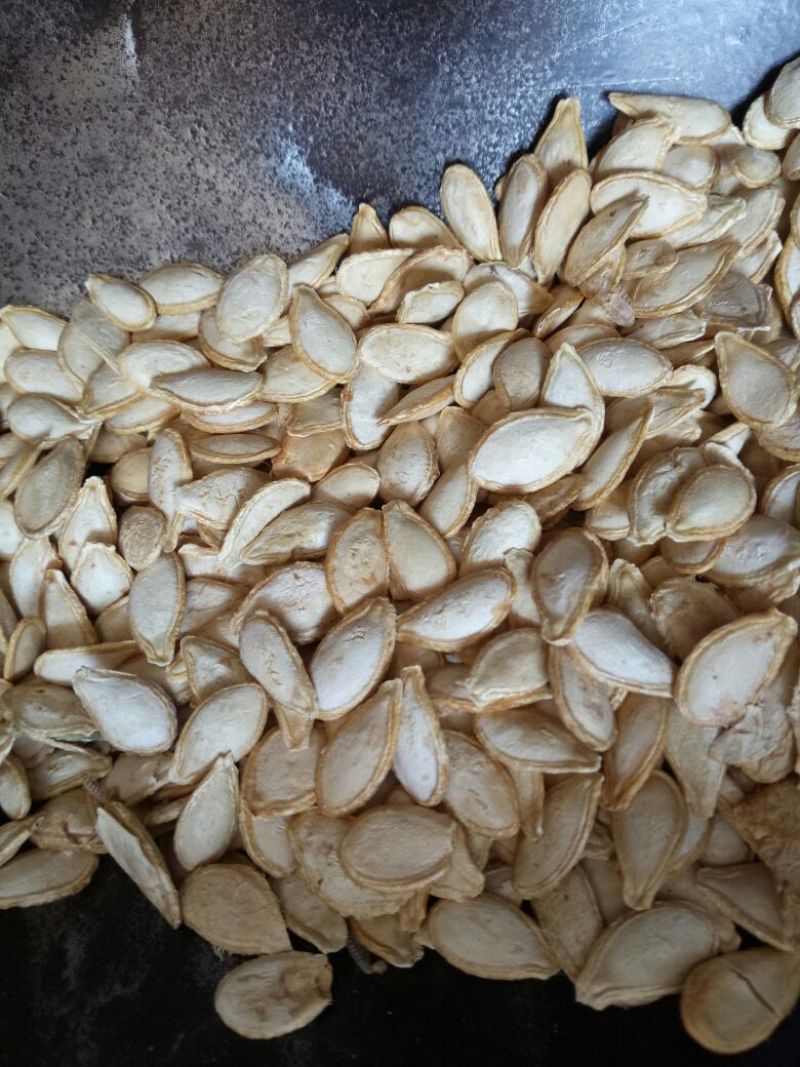 南瓜子中药材用河北干货量大从优