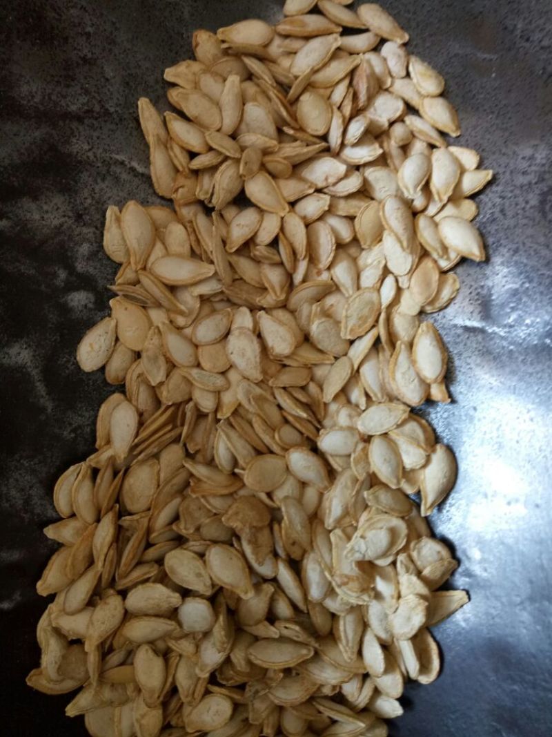 南瓜子中药材用河北干货量大从优