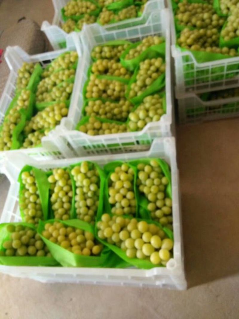 水果框内衬套袋无纺布包装袋水果篮套袋葡萄套袋哈密瓜包装袋