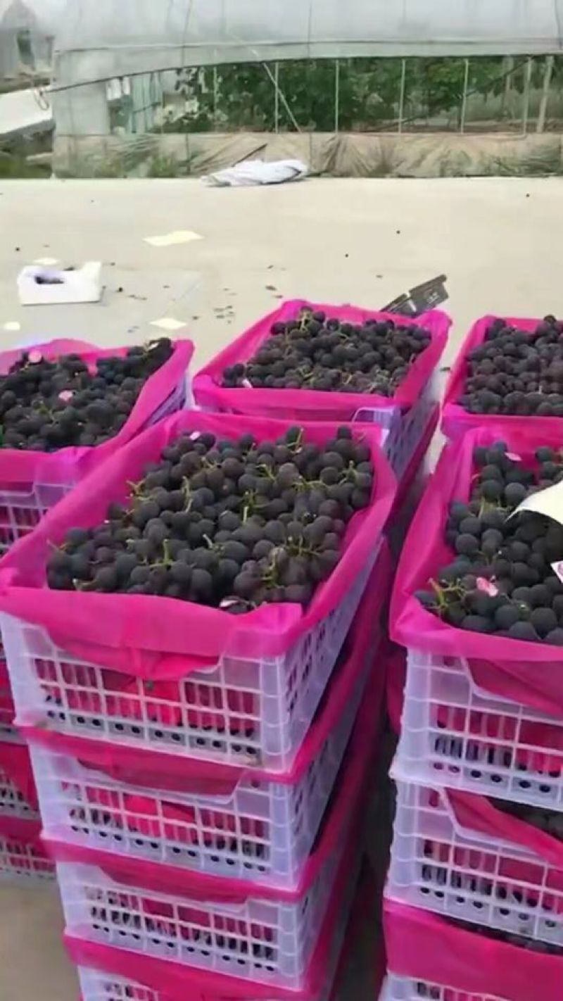 水果框内衬套袋无纺布包装袋水果篮套袋葡萄套袋哈密瓜包装袋