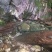 土蜂蜜2斤