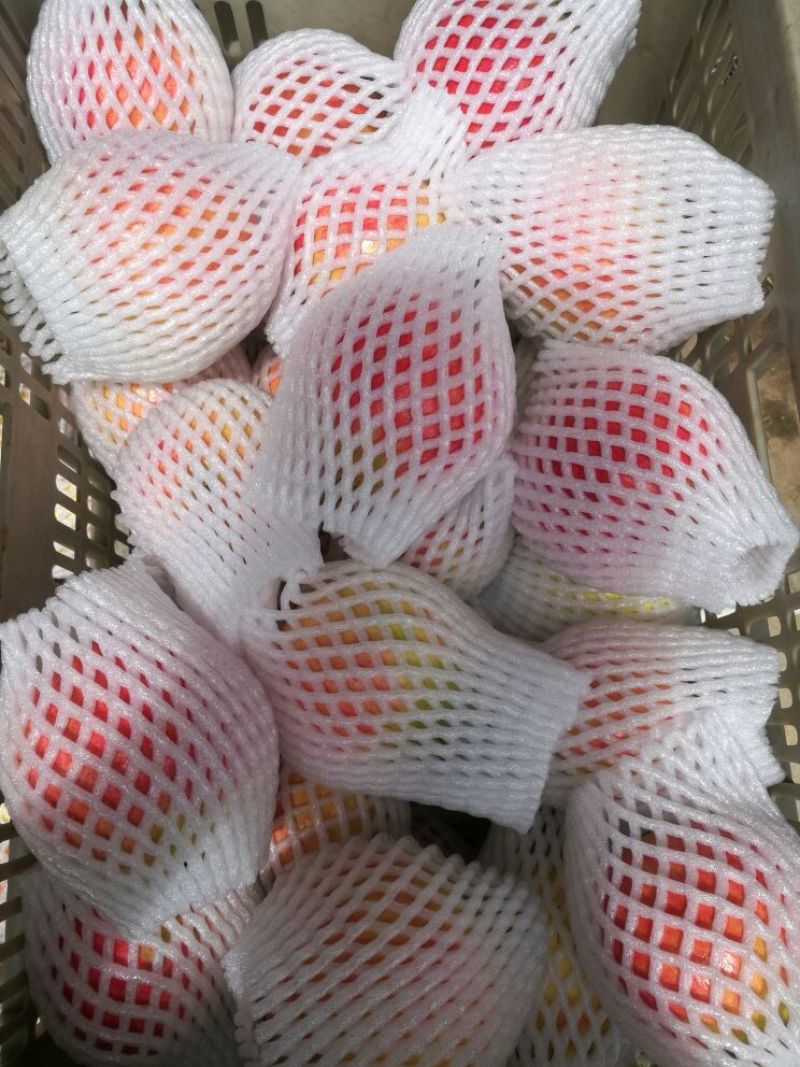软籽石榴