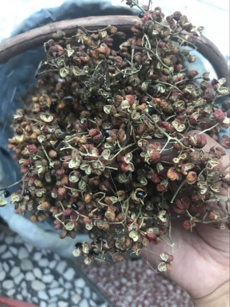 大红袍花椒三级干***********