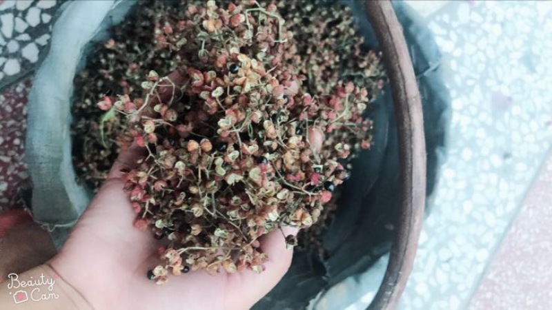 大红袍花椒三级干***********