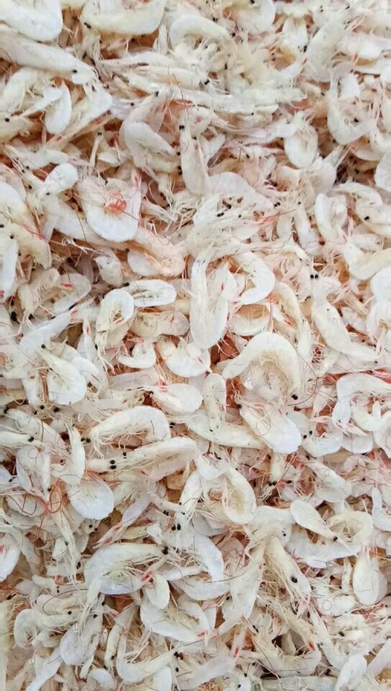 渤海湾特产，盐干虾皮