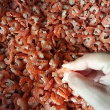 自己家加工的大海米，大虾仁