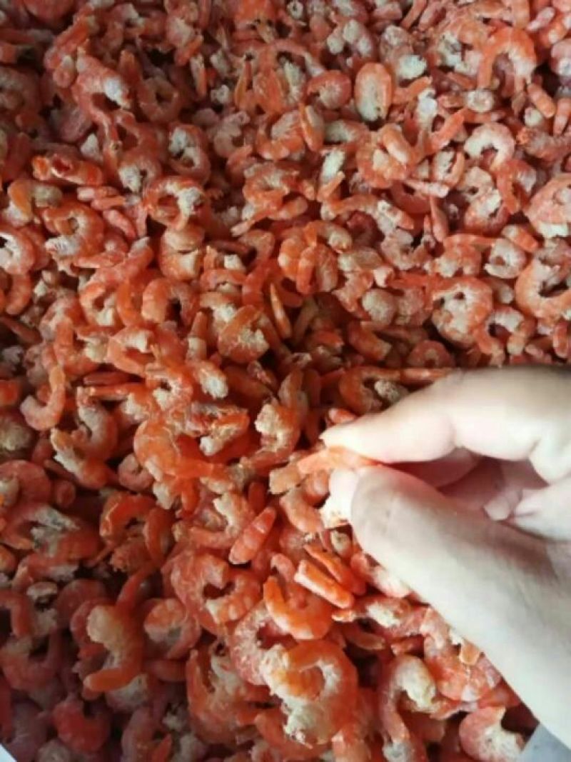 自己家加工的大海米，大虾仁