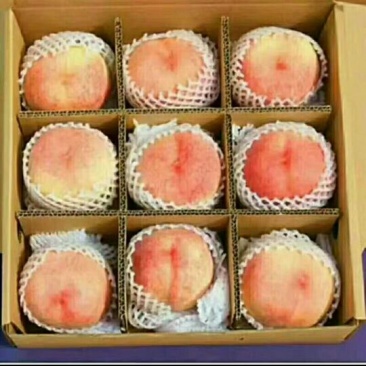肥城莱山蜜