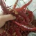 湖南省湘西州泸溪县本地干辣椒