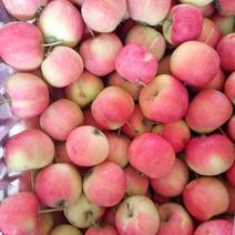 沙果小苹果现大量上市自然成熟口感清脆原产地直供代收