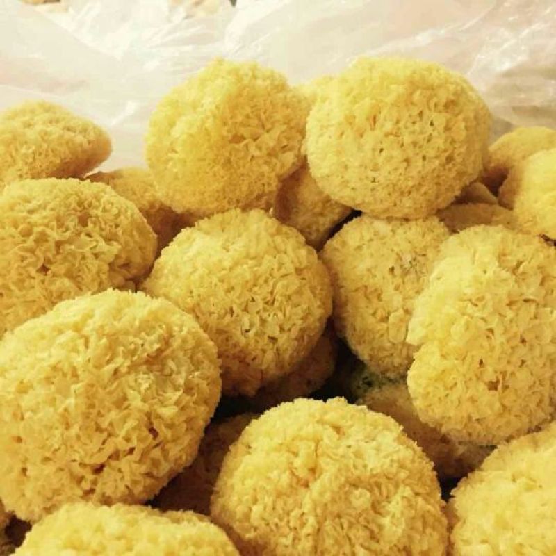银耳丑儿