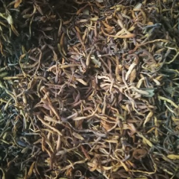 金银花