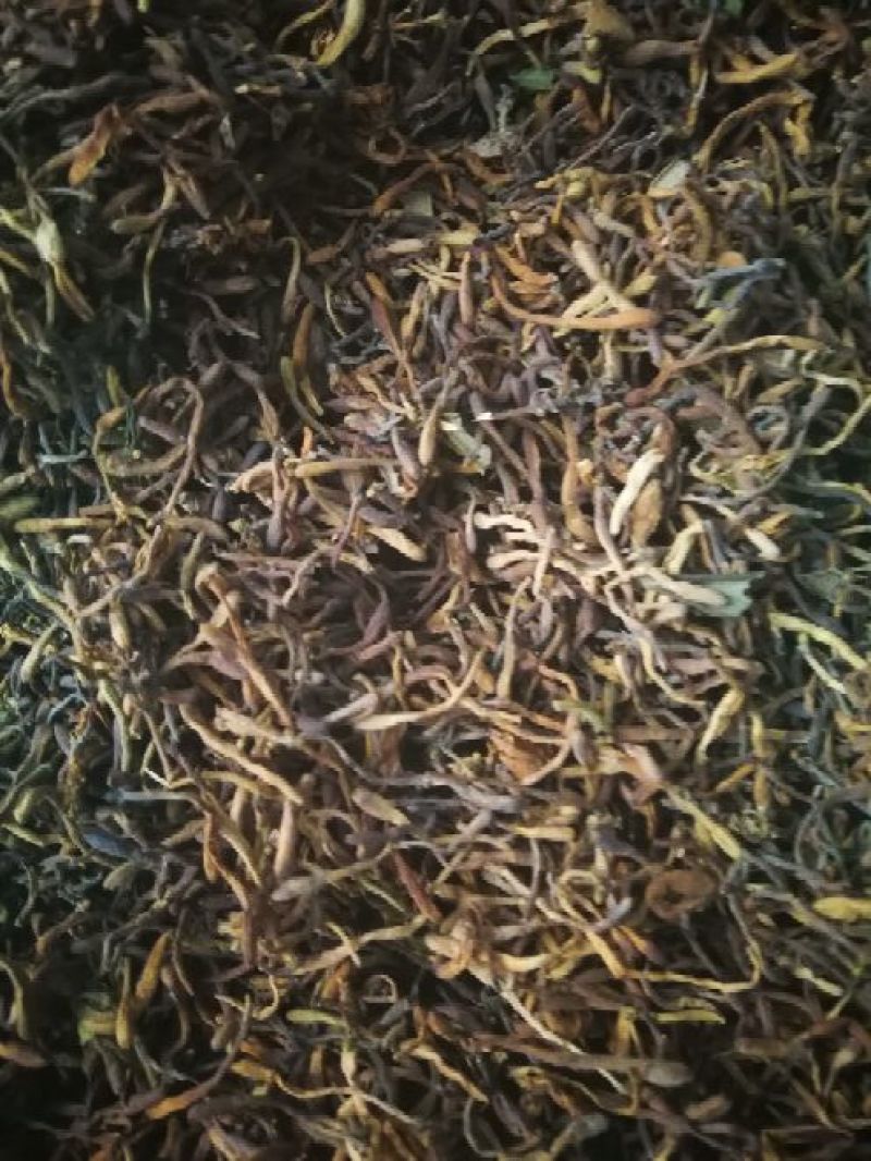 金银花
