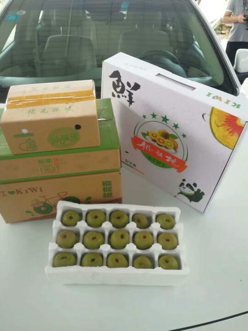 都江堰红心猕猴桃上市了