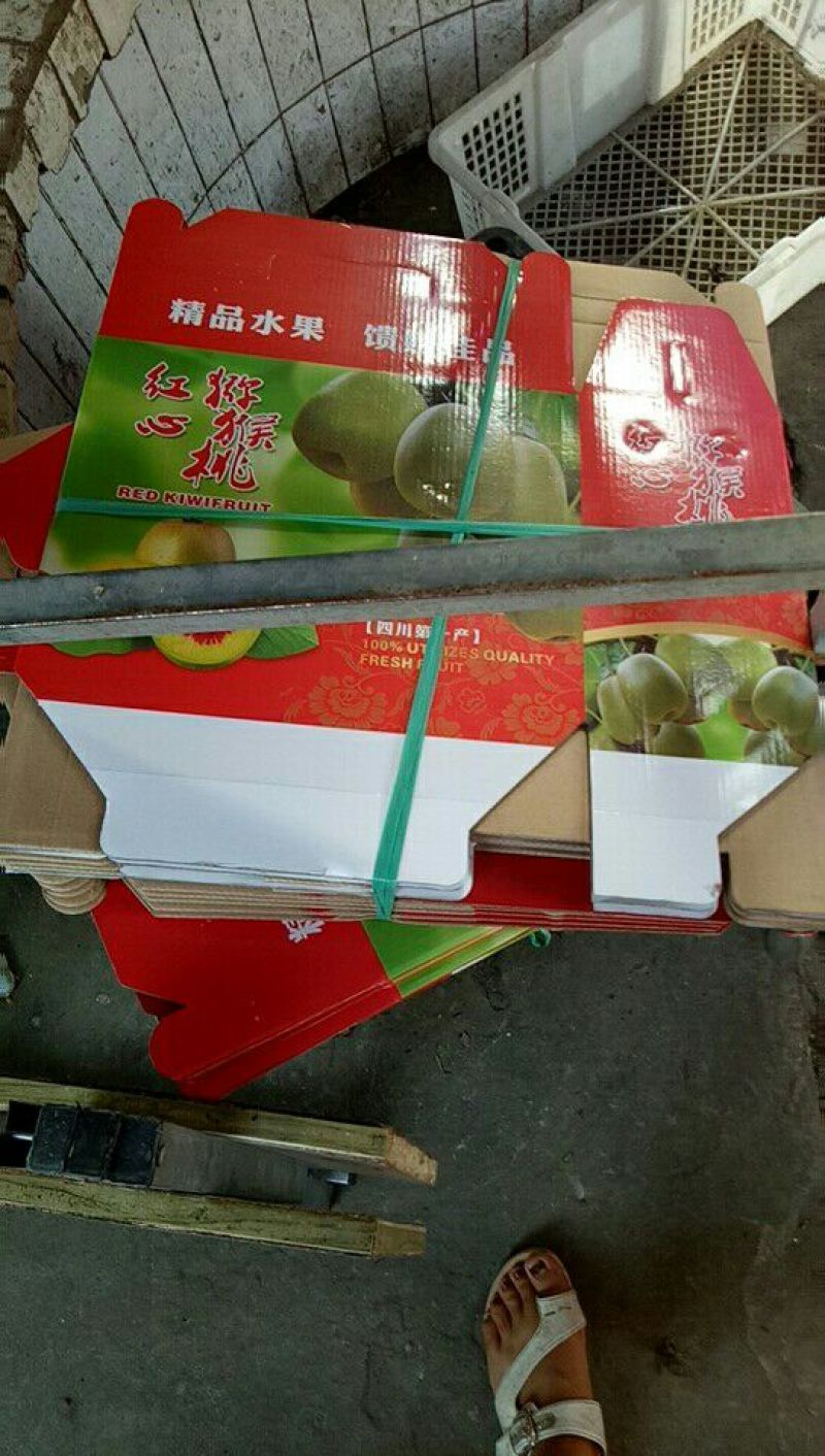 都江堰红心猕猴桃上市了