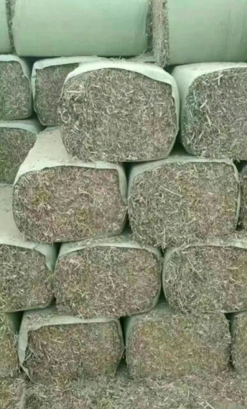 谷草玉米秸，绿豆糠
