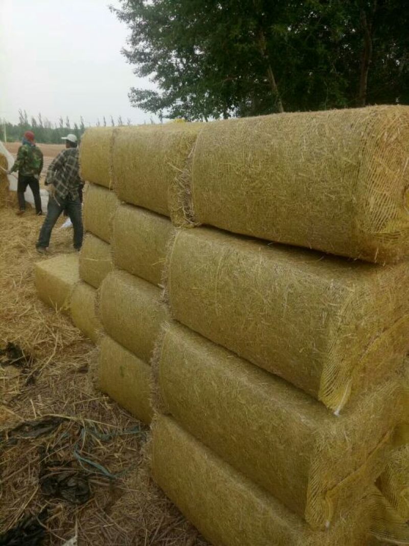谷草玉米秸，绿豆糠