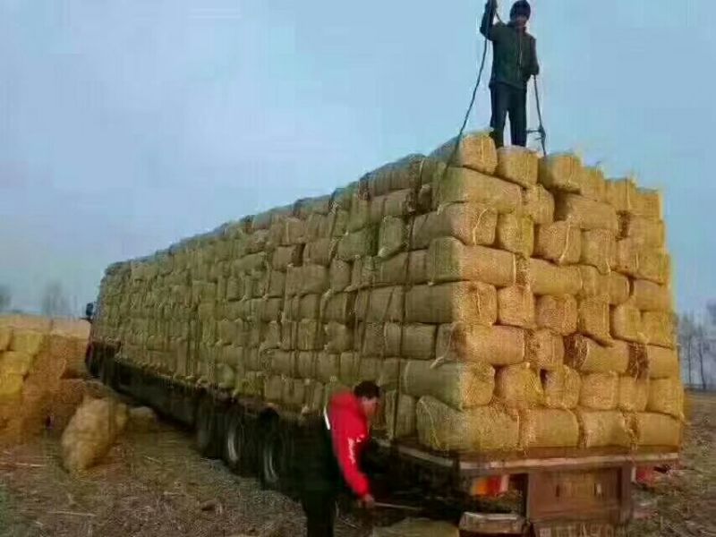 谷草玉米秸，绿豆糠