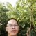 文冠果树