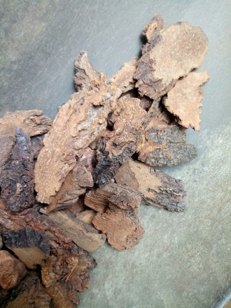 锁阳内蒙干货2斤起包邮量大从优