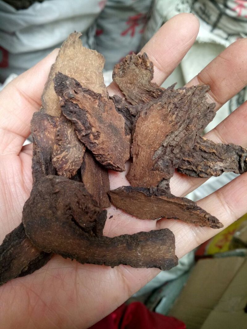 锁阳内蒙干货2斤起包邮量大从优
