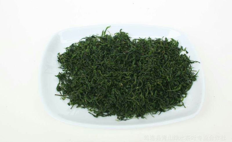 小叶苦丁茶口感好青山绿水1斤起包邮