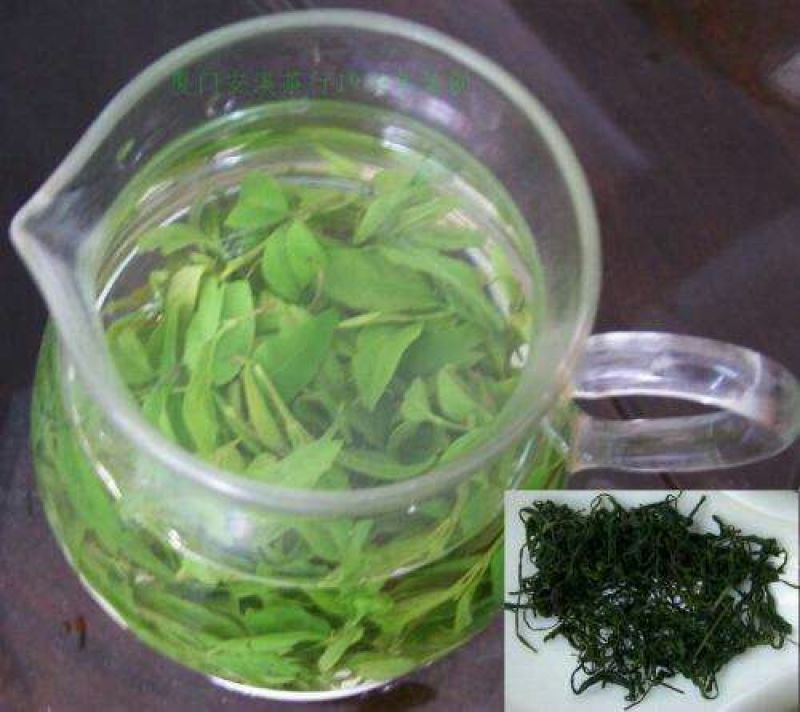 小叶苦丁茶口感好青山绿水1斤起包邮