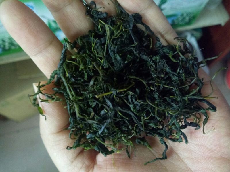 小叶苦丁茶口感好青山绿水1斤起包邮