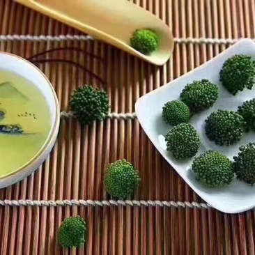 三七花