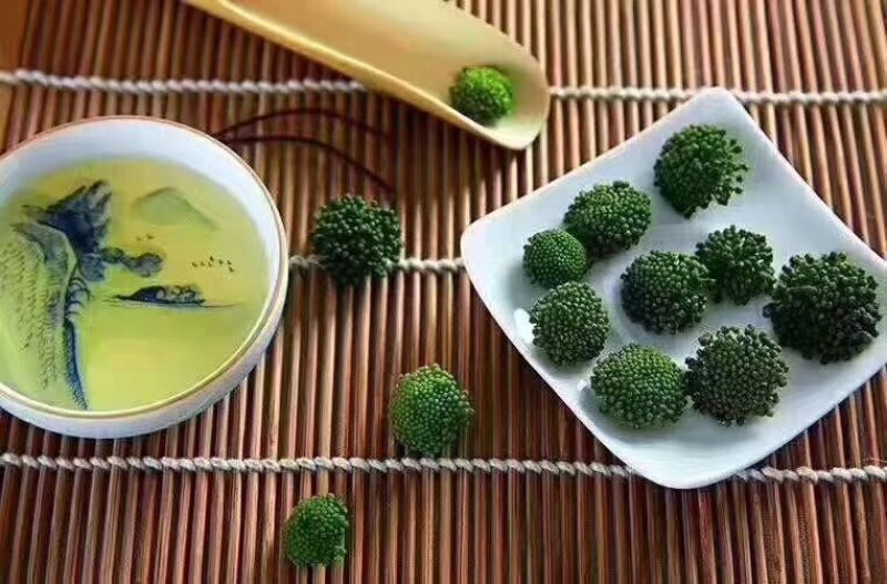 三七花