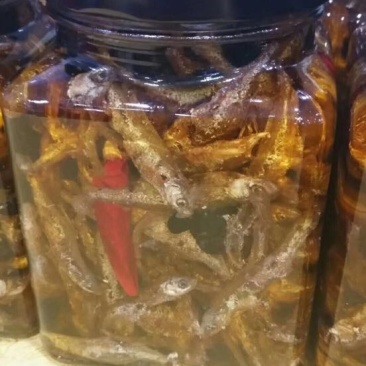 白条鱼