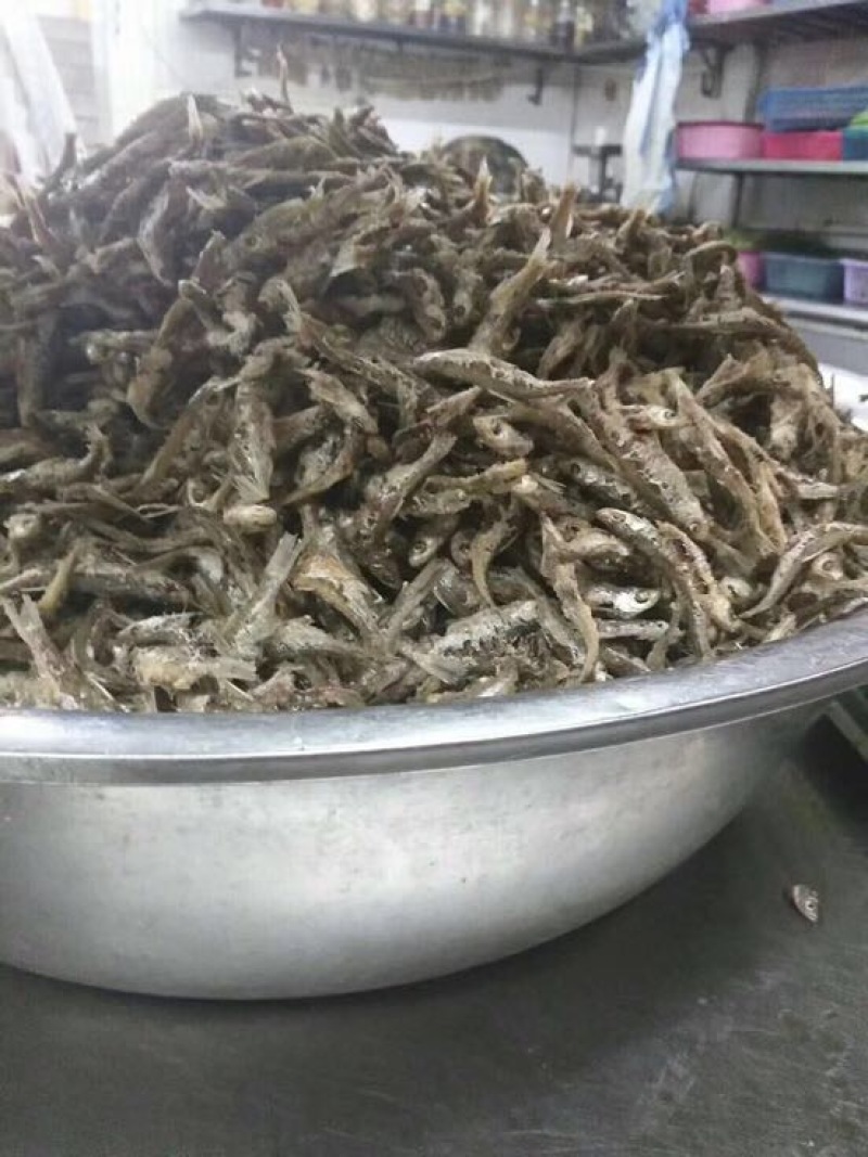 白条鱼