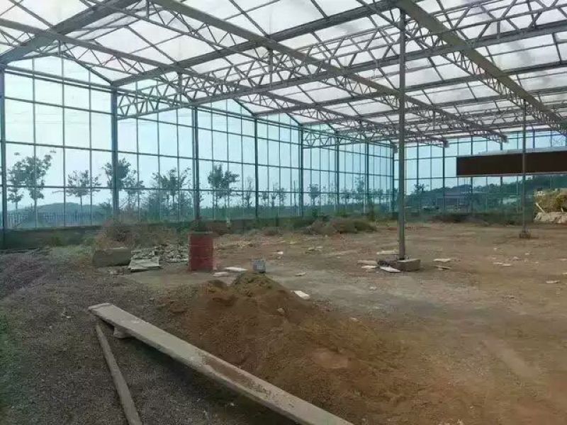 玻璃温室大棚厂家