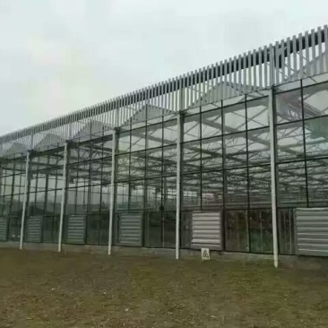 玻璃温室大棚厂家