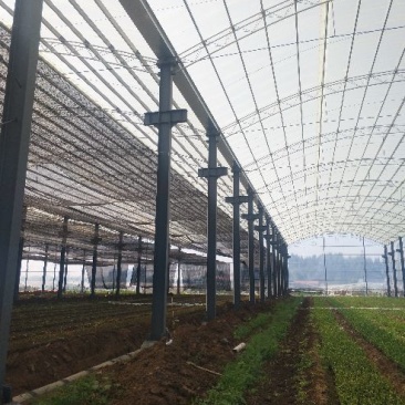 车间大棚建造