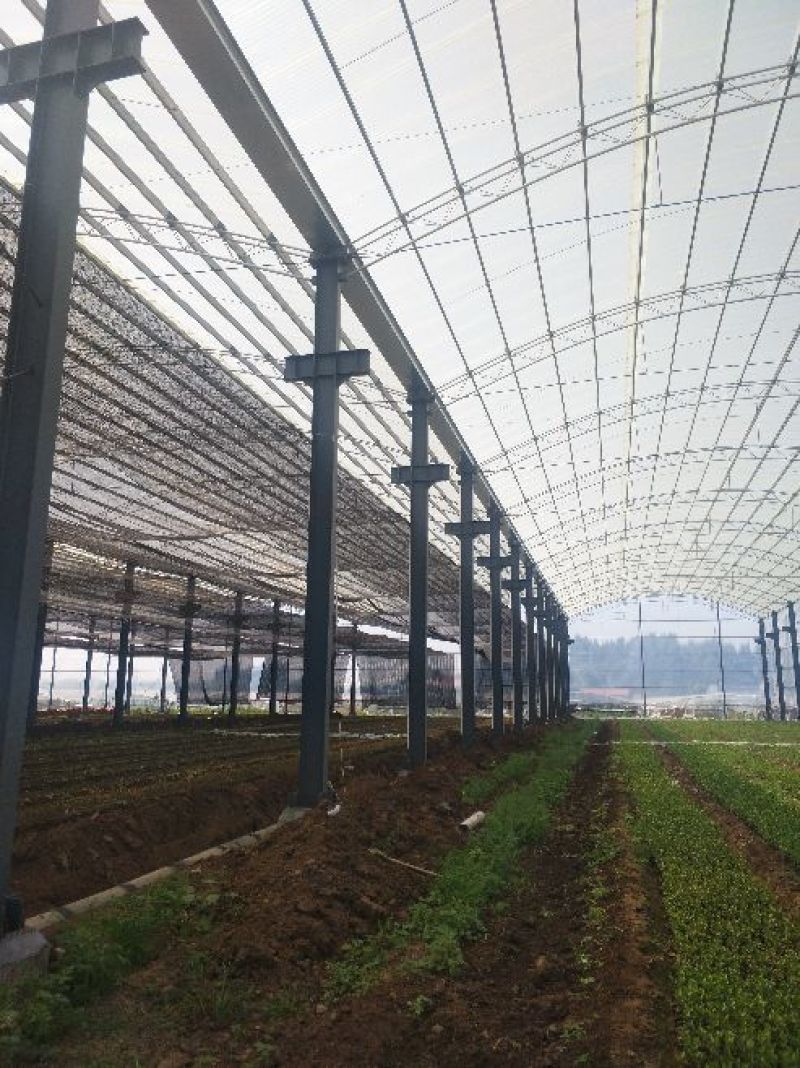 车间大棚建造