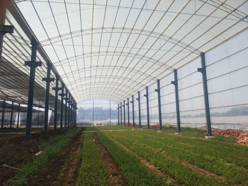 车间大棚建造