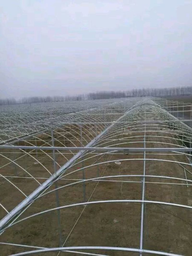 连栋大棚建设
