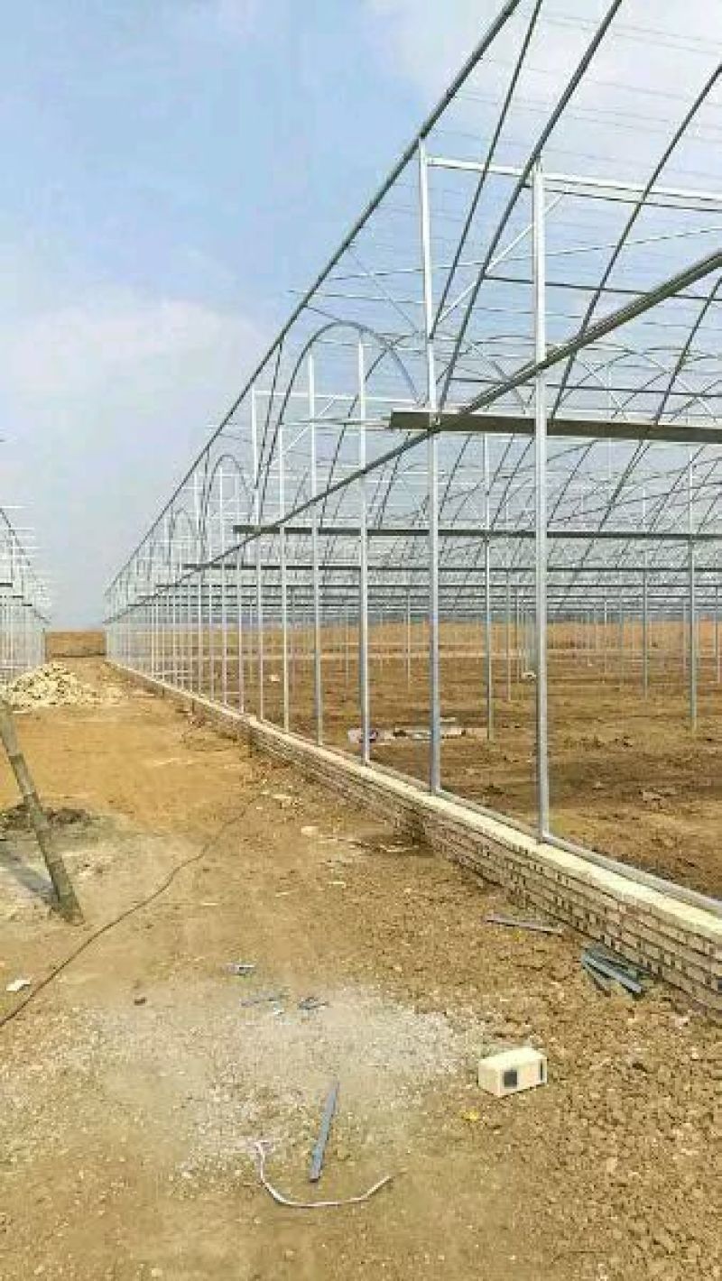 连栋大棚建设