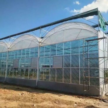 连栋大棚建设