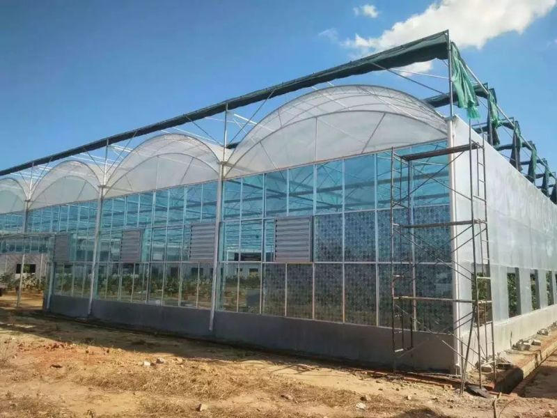连栋大棚建设