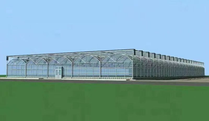 连栋大棚建设