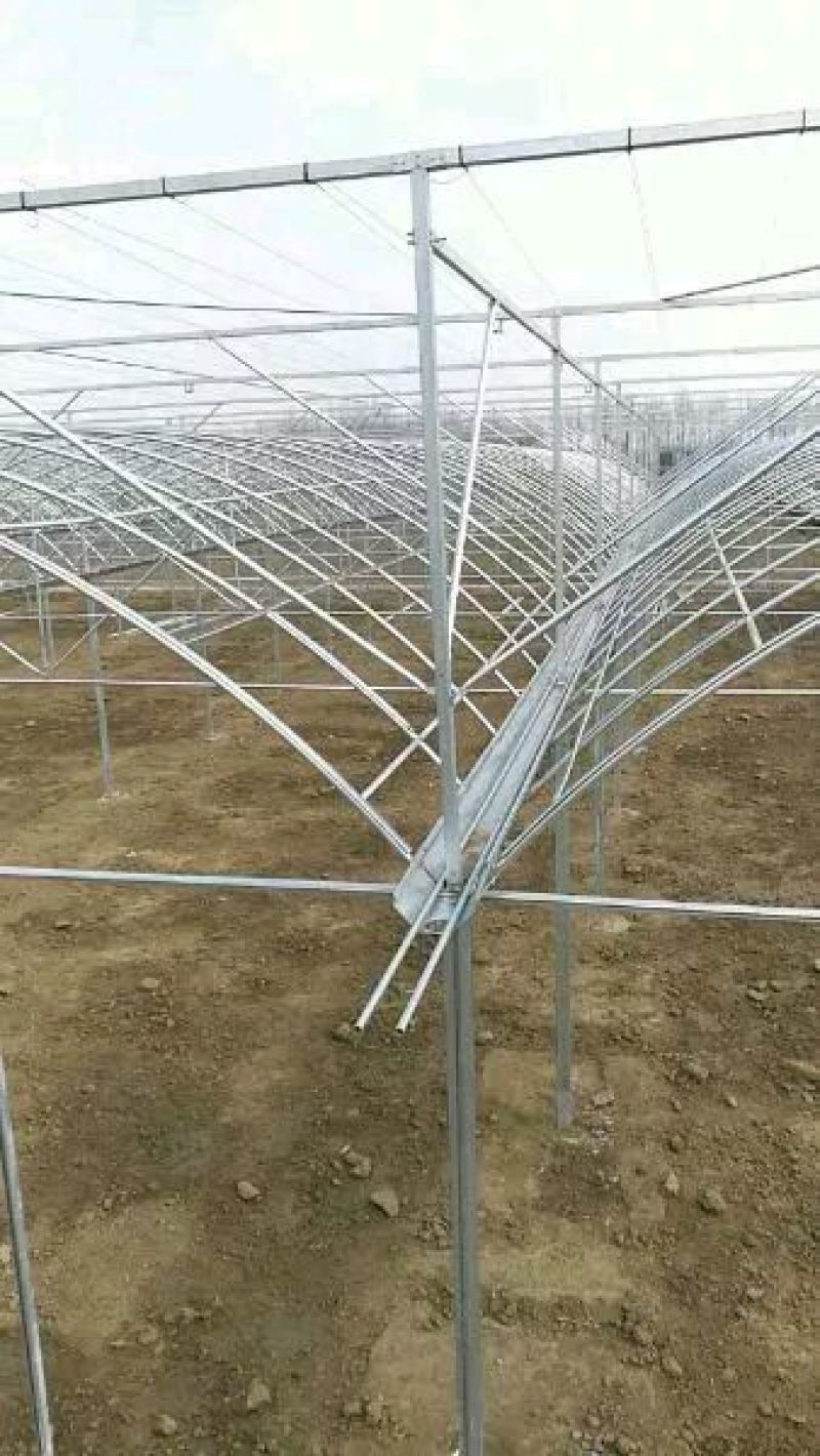 连栋大棚建设