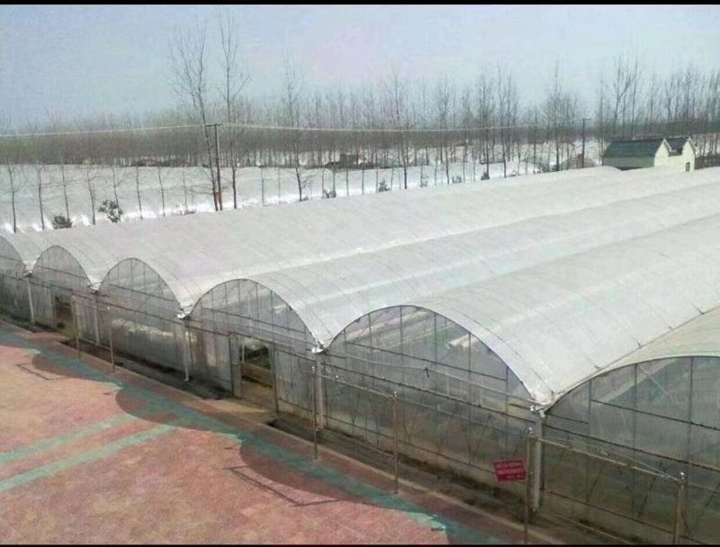 连栋大棚建设