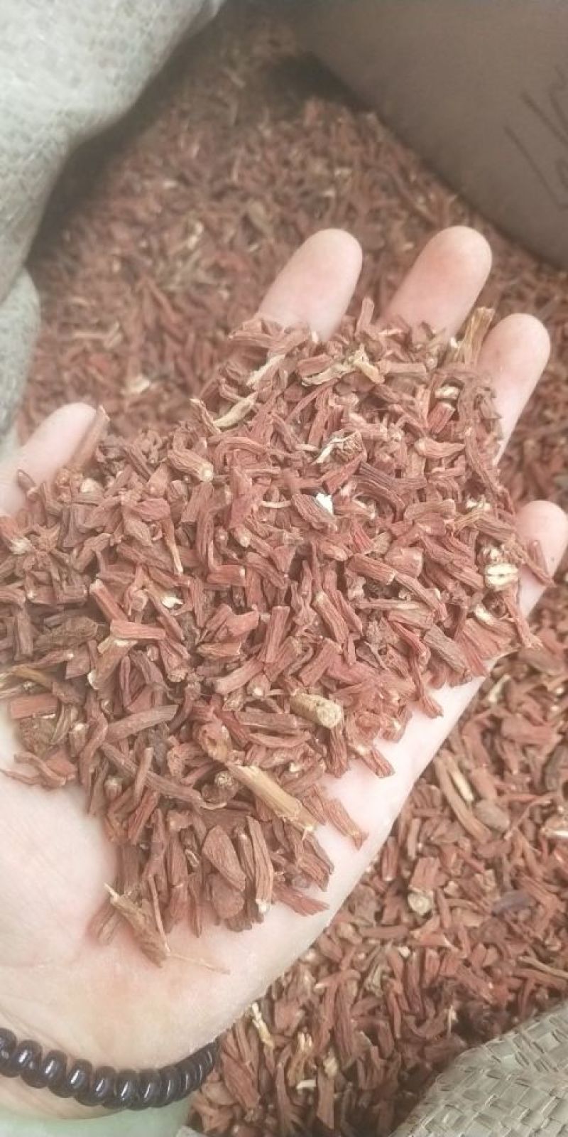 打粉丹参