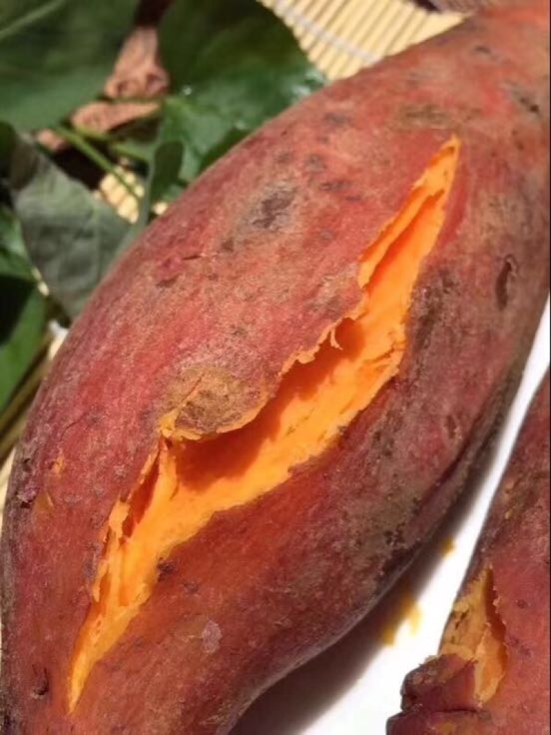 西瓜红广西巴马红西瓜红蜜薯，一件代发