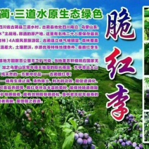 脆红李